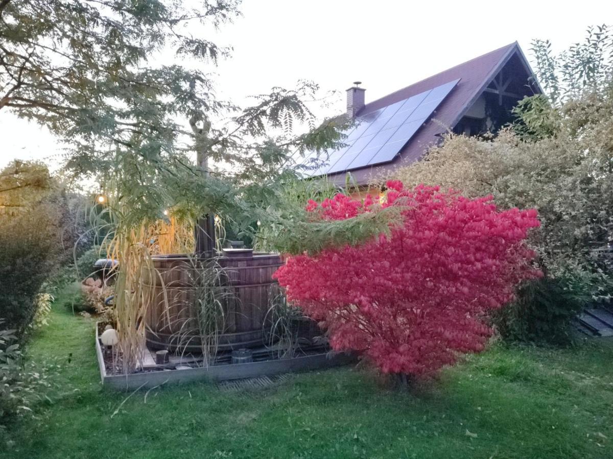 Smyrkowy Dom Z Kominkiem Z Goraca Balia Kolo Karpacza Janowice Wielkie Esterno foto