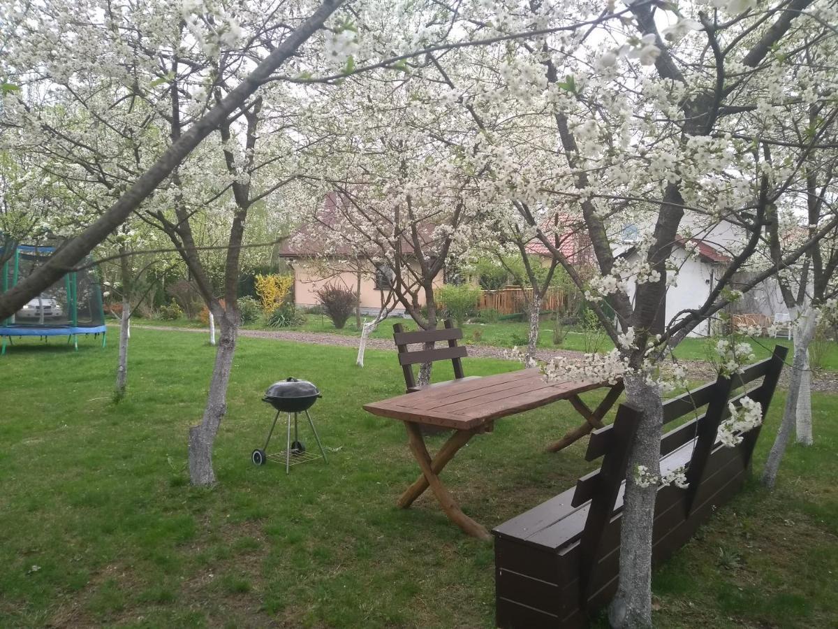 Smyrkowy Dom Z Kominkiem Z Goraca Balia Kolo Karpacza Janowice Wielkie Esterno foto